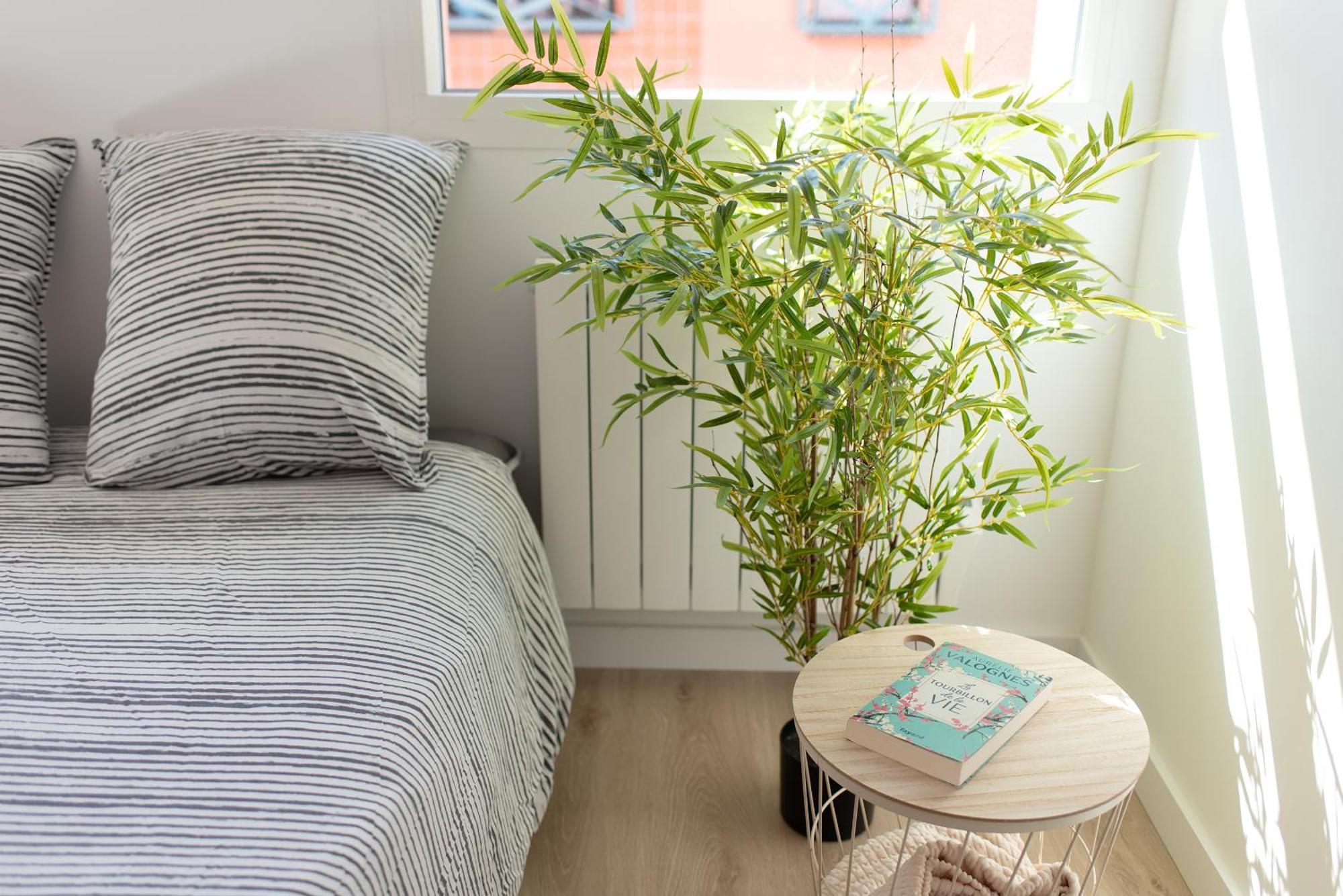 T2 Avec Parking Gratuit - Proximite Gare Apartman Toulouse Kültér fotó